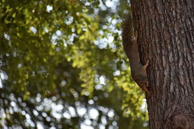 赶的压力 赶的压力