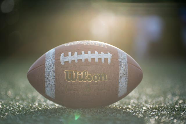 球员的合理 球员的合理