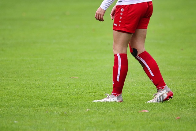 埃拉的崛起 埃拉的崛起