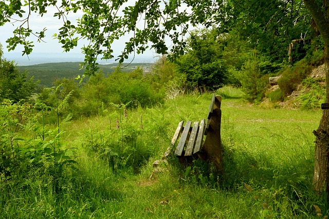 也是值得称 也是值得称