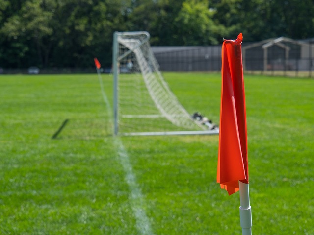 篮球故事 篮球故事