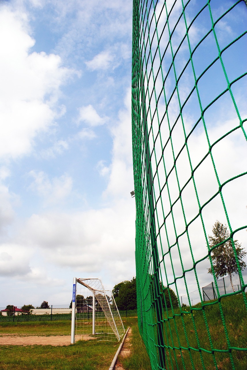 这样的变动 这样的变动