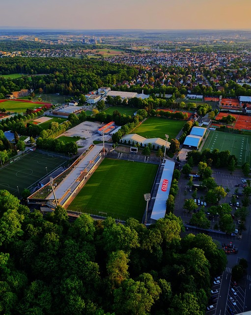 的战术成功 的战术成功